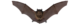 about bats, about brown bats, about bat removal, exterminating, bat removal, upper michigan bat removal, wisconsin bat removal, u.p. bat removal, up bat removal, upper michigan bats, up bats, u.p. bats, bat problem, bats, brown bats, bats house, bat remov
